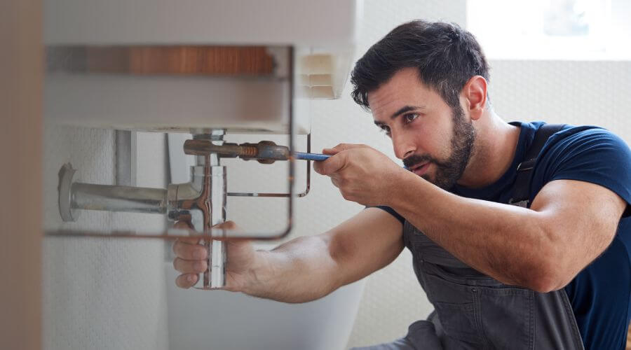 Trap Repair/Replacement in Dahlgren, IL